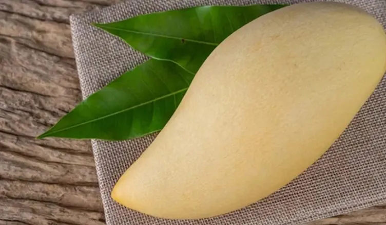 All You Need to Know About African Mango Benefits
